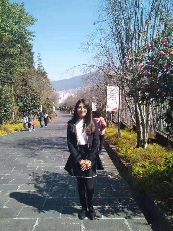窗台上的桔梗的第一张照片--云南上门女婿服务网